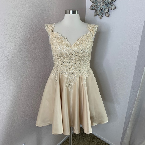 Dancing Queen Lace Crystal Princess Neckline Gown - Picture 16 of 16